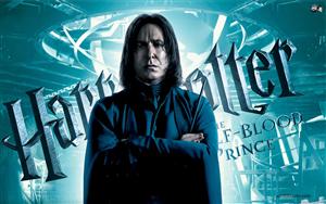 Harry Potter and the Half Blood Prince Harry Potter and the Half Blood Prince